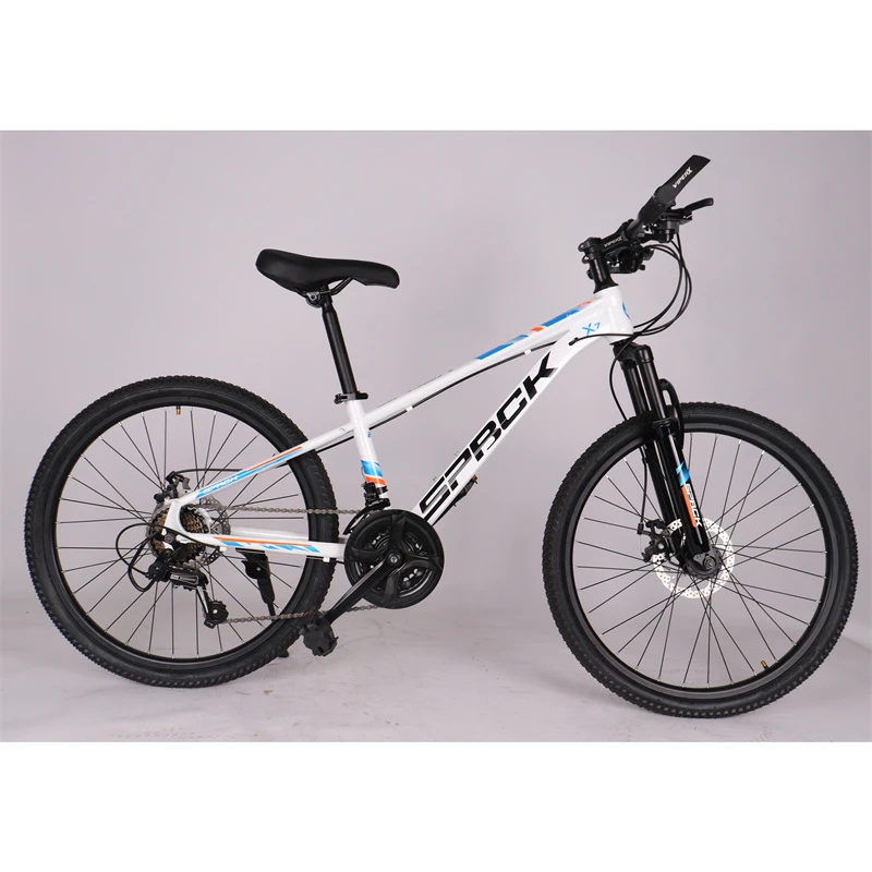 mountain bike purpose